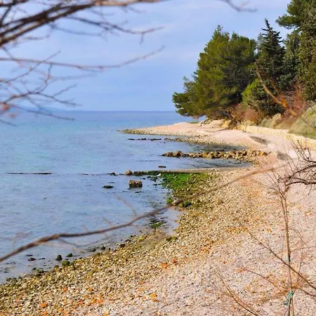 Angela - Appartement *